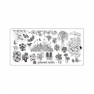 Пластина для стемпинга Stamping Nail Art  Planet Nails №13