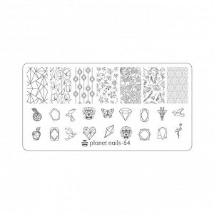 Пластина для стемпинга Stamping Nail Art  Planet Nails №54