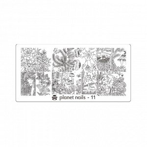 Пластина для стемпинга Stamping Nail Art  Planet Nails №11