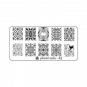 Пластина для стемпинга Stamping Nail Art  Planet Nails №42