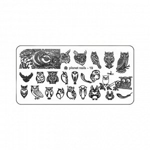 Пластина для стемпинга Stamping Nail Art  Planet Nails №19