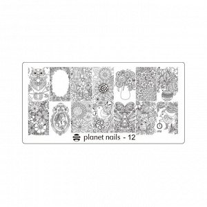 Пластина для стемпинга Stamping Nail Art  Planet Nails №12