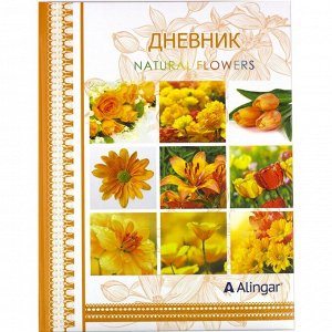 Дневник школьный Alingar 1-11 кл., 48л., 7БЦ, поролон, глиттер, ассорти, "Цветы-1"