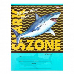 Тетрадь 24л., клетка, Проф-Пресс "Территория акул", скрепка, мелованный картон, 5 дизайнов