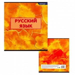 Тетрадь предметная "Русский язык"  А5 36л., со справочным материалом, на скрепке, мелованный картон, Alingar "Мрамор"