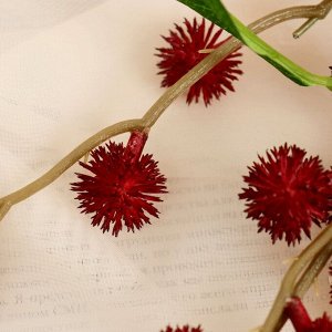Цветы искусственные "Кровохлебка" 83 см, бордовый