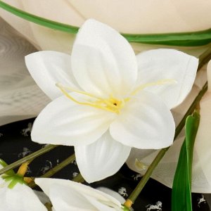 Цветы искусственные "Соланум" d-8 см 77 см белый