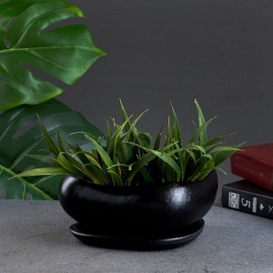 Горшок "Бонсай малый" для кактусов и суккулентов, черный, 0,6, л/ 17х14х7см
