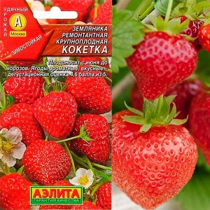 Саженцы Земляника Кокетка ремонтантная крупнопл.  А