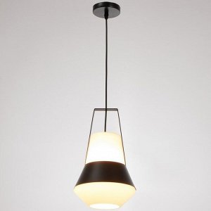 Светильник BayerLux 1653/1BK E27 40Вт черный 25х26х40-135 см