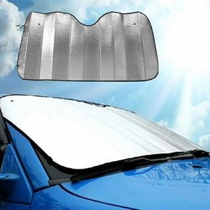 Защита на лобовое стекло автомобиля