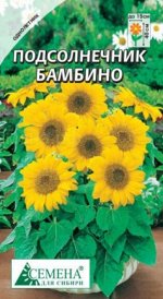 Подсолнечник Бамбино, 0,5г (цв.)