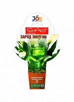 JOY Стимулятор для комнатных цветов &quot;Заряд энергии&quot; монодоза 30мл