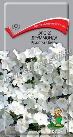 Цветы Флокс друммонда Красотка в белом 0,1г Поиск