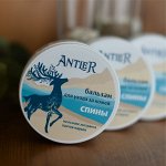 Бальзам при болях в спине