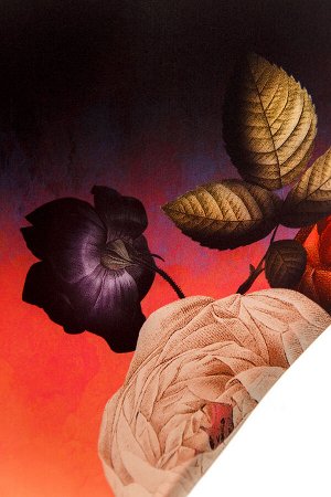 Двусторонние плавки 7230 Penelope Shade с высокой талией и открытым бедром. Многоцветный принт с цветочными мотивами. Прекрасно комбинируются с изделиями в линии и позволяет создавать новые образы. Вы