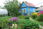 Купон на скидку 7% и большое спасибо за совет начинающему огороднику!