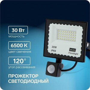 Прожектор светодиодный, 30 Вт, 2700 Лм, 6500К, Датчик движения, IP66