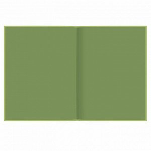 Дневник школьный, А5+, 48л., мягкий переплёт, полноцветный дизайн, супер-обложка из ПВХ с полноцветной печатью