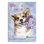 Цветная бумага, формат А4, 16, тип обложки: мягкий переплёт (2 скобы), Материал обложки: мелованная бумага 130 г/м2. Печать обложки: полноцветная печать. Красочность блока: 8 цветов.
