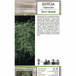 Береза повислая Трост Дварф (Поиск) 1шт (в коробке) лист св/зеленый,сильно рассеченный,крона плакуч