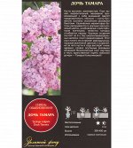 Сирень Дочь Тамара обыкновенная (Поиск) 1шт (в коробке) цветки ярко-розовые, ромбовидные с заостр