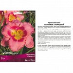 Лилейник Дресс Пинк (Поиск) (уп-1шт) розовый с темно-розовым центром и желтым горлом, h-60см