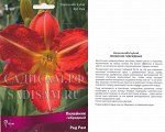 Лилейник Ред Рам (Поиск) (уп-1шт) красный с зеленым горлом и белой полосой, h-45см
