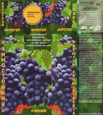 Виноград плодовый Кишмиш Юпитер (ЗолСотка) 1шт (в коробке) ранний, т/фиолет,мускат,гроздь 200-300г