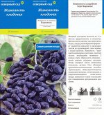 Жимолость Бореалис (Поиск) 1шт (в коробке) средний, ягода синяя крупная