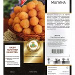 Малина Желтый гигант перспективный (Поиск) 1шт (в коробке) крупноплодный, желтый, среднеранний