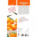 Облепиха Августина (Поиск)1шт (в коробке) ранний, ягода яйцевидная,  оранжевая