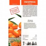 Облепиха Гном (Поиск) 1шт (в коробке) мужской, опылитель