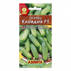 Семена Огурец "Клавдия F1", раннеспелый, партенокарпическии, 10 шт