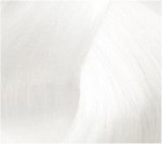Чистый тон Atelier Color Integrative