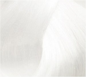 Чистый тон Atelier Color Integrative