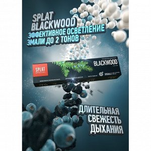 Splat СПЛАТ Зубная паста Спешл Черное дерево /75