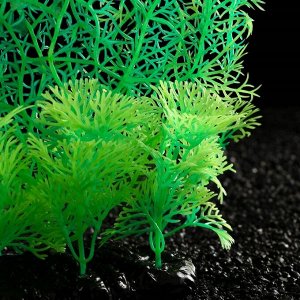 Растение искусственное аквариумное, светящееся, 23 см, зелёное