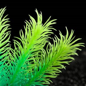 Растение искусственное аквариумное, светящееся, 10 см, зелёное
