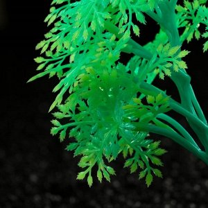 Растение искусственное аквариумное Пижон Аква, светящееся, зелёное, 15 см