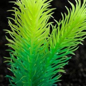 Растение искусственное аквариумное, светящееся, 8 см, зелёное