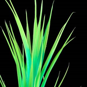 Растение искусственное аквариумное, светящееся, 30 см, зелёное