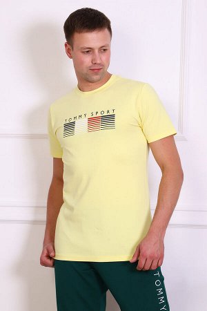 Мужская футболка 16168