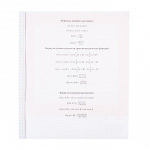 Тетрадь предметная URBAN FRIENDS, 48 листов в клетку "Алгебра", обложка мелованный картон, тиснение "лён", блок офсет