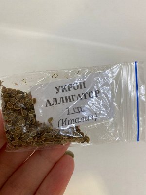 Семена укроп Аллигатор, 1 гр