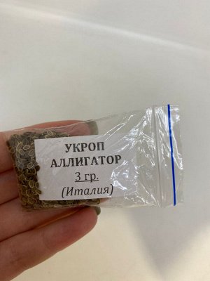 Семена укроп Аллигатор, 3 гр