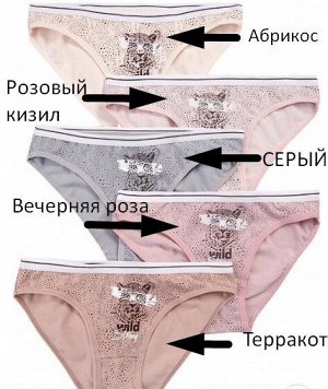 Женские трусы размер XL (рус 46）