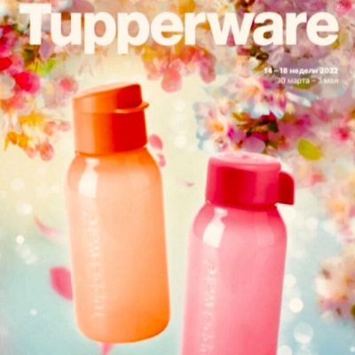 Tupperware! (04.04.2022)