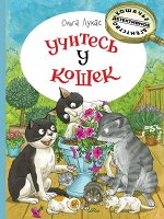 Лукас О.     Учитесь у кошек