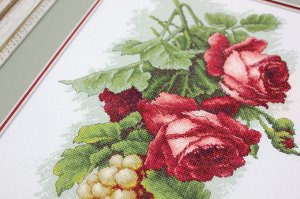 B2229 Красные розы с виноградом